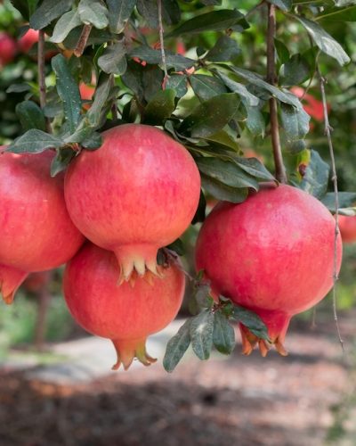 AdobeStock_217671817 AdobeStock_217671817